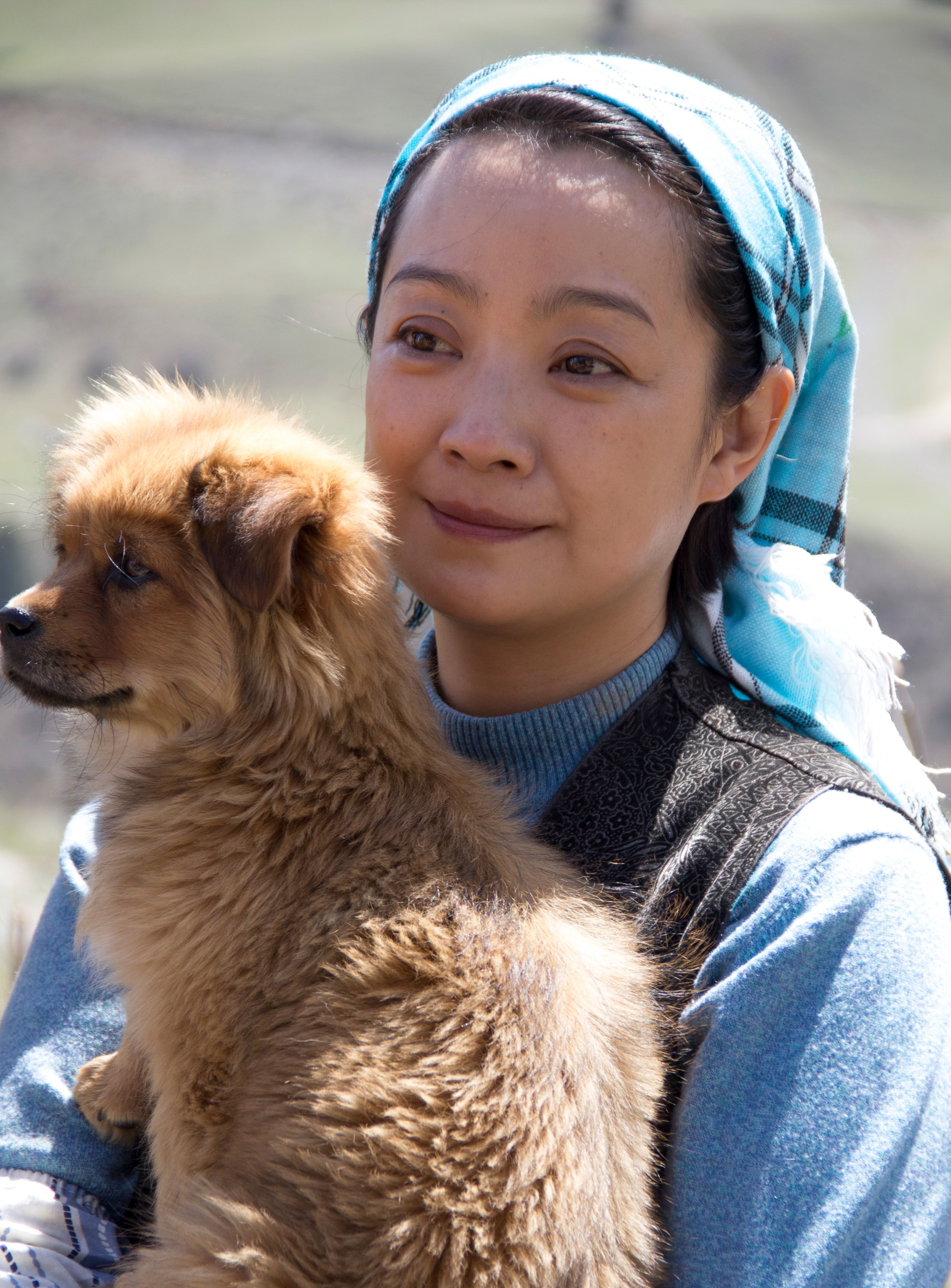 血狼犬