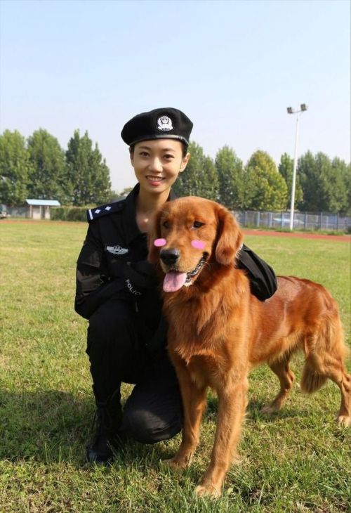 警花与警犬剧照列表 影乐酷