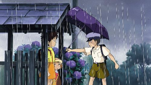 龙猫