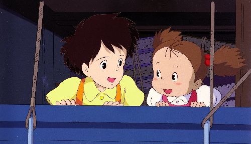龙猫