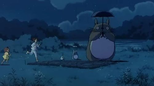 龙猫