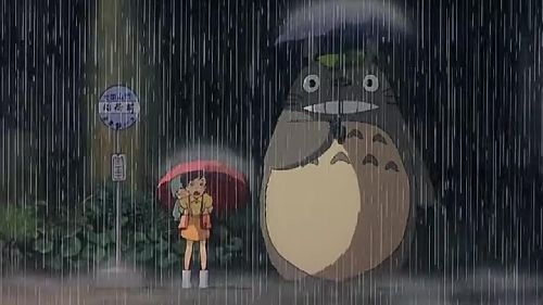 龙猫