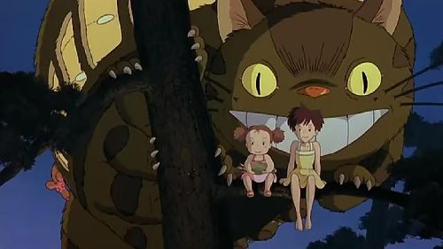龙猫