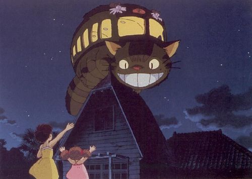 龙猫
