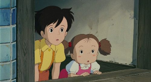 龙猫