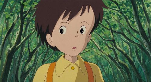 龙猫