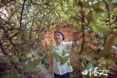 四个春天
