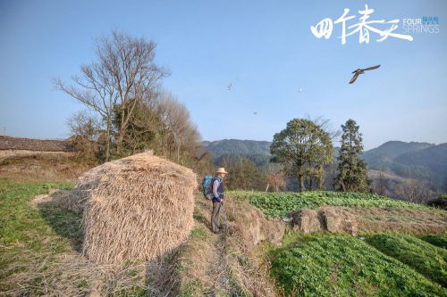 四个春天