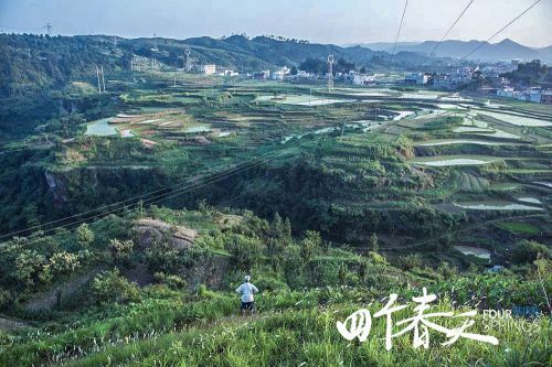 四个春天