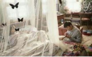 《夜孔雀》：神仙姐姐刘亦菲和大叔黎明滚床单