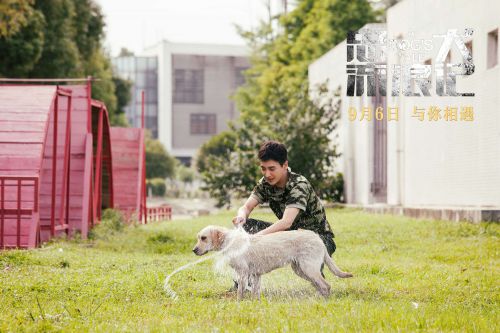 忠犬流浪记