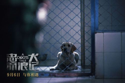 忠犬流浪记