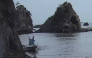看完，能把你气哭的纪录片，日本人屠杀海豚《海豚湾》