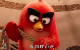 《愤怒的小鸟2》大电影 官方【中字】片段