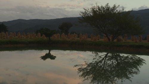 小森林 夏秋篇