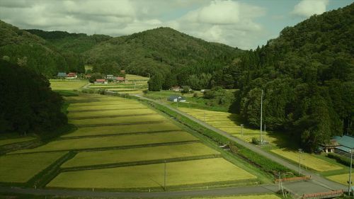 小森林 夏秋篇