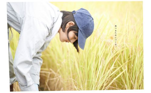 小森林 夏秋篇