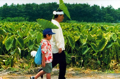 菊次郎的夏天