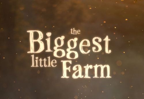 最大的小小农场