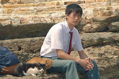 猫与爷爷