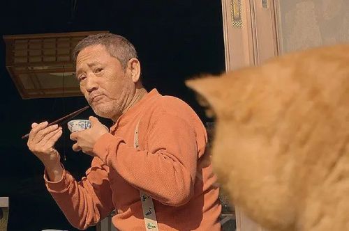 猫与爷爷