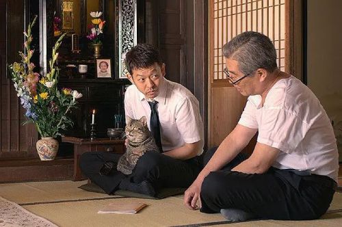猫与爷爷
