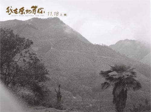 我在原地等你