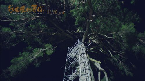 我在原地等你