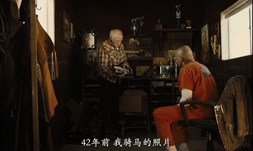 野马