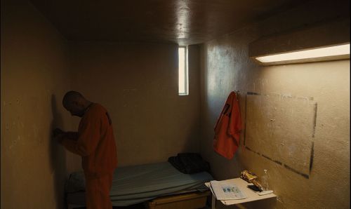 野马