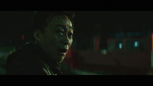 野兽