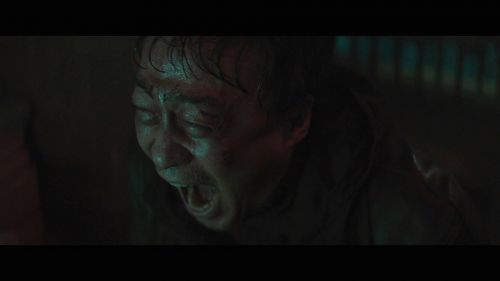 野兽