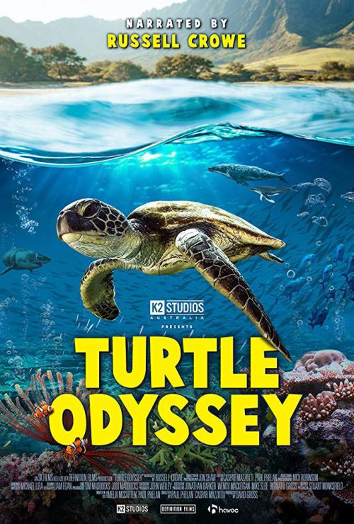 Turtle