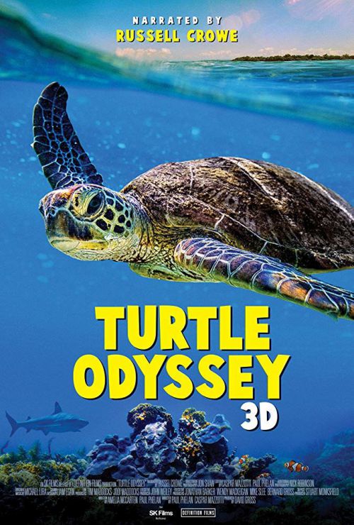 Turtle
