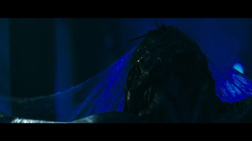 外星杂交