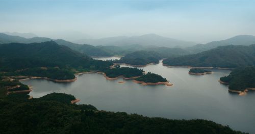 西河恋歌