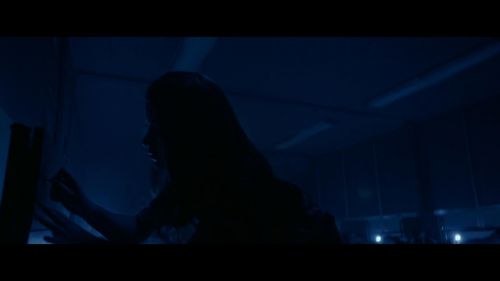 芳龄十六