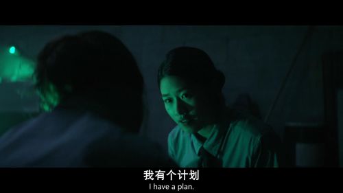 芳龄十六