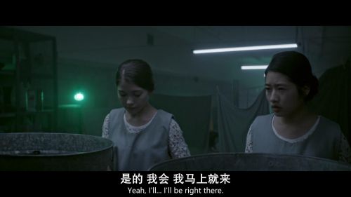 芳龄十六