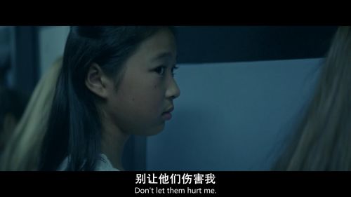 芳龄十六