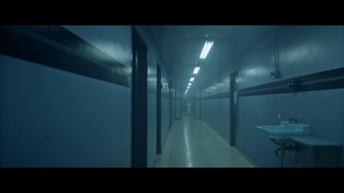 芳龄十六