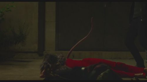 狂犬病