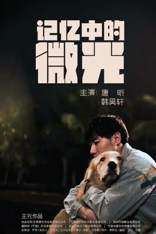 记忆中的微光