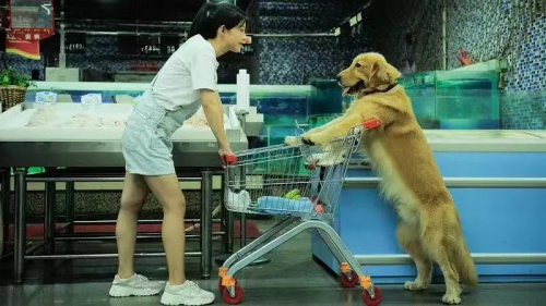 记忆中的微光