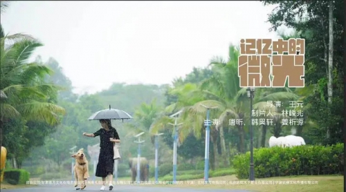 记忆中的微光