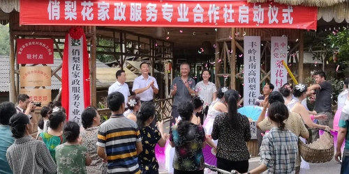 村里来了新闻官