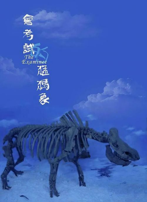 会考试的猛犸象