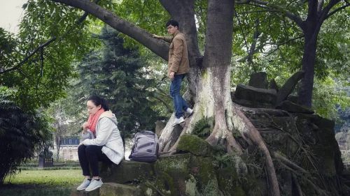 会考试的猛犸象