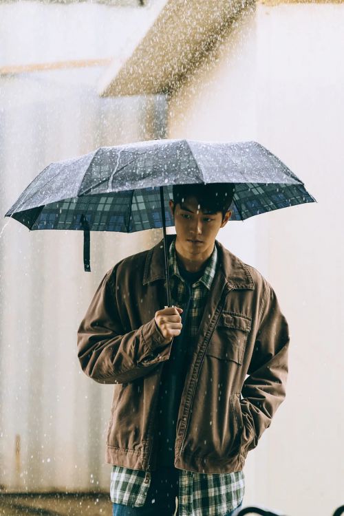 Jose与虎与鱼们
