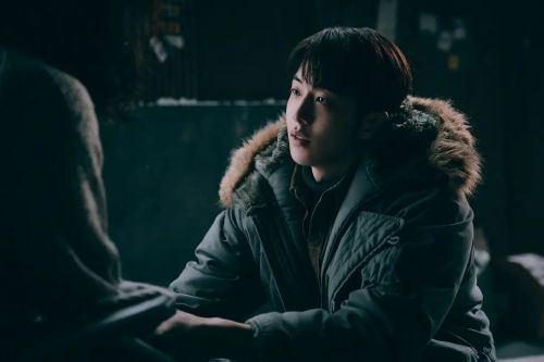 Jose与虎与鱼们